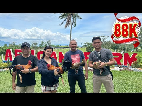 GOLDEN BOY SWEATER worth 88,000 pesos || Aej Farm Arnold Dela Cruz