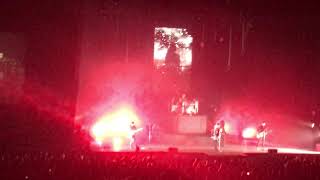 Only the lonely survive - Mariana’s Trench