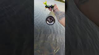 New combo Westin W4-BC Baitcasting Reel and Savage Gear SG4 Power Game Baitcasting Rod amazing 🤩🎉
