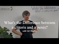 What S The Difference Between A Clitoris And A Penis Learn Integral Anatomy With Gil Hedley