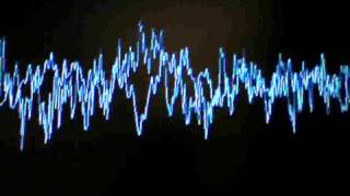 The Selecter - Red Reflections