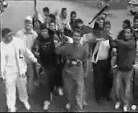 KingRaman - Stolzer Kurde www.myspace.com/KingRamanNo1