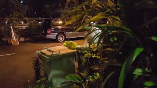 Download lagu Escatec Penang Business Unit manager mp3 Download lagu Escatec Penang Business Unit manager mp3