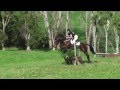 Clifton Airtight Cross Country