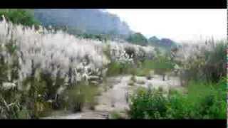 Bert Kaempfert (Germany) - I May Be Wrong