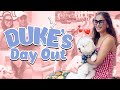 DUKE'S DAY OUT (PAMPER DAY FOR MY DOG) | Maja Salvador