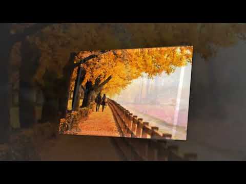 Mông lung chiều thu - Nam Vĩnh