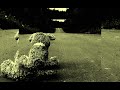 After Dark X Sweater Weather Slowed To Perfection TikTok Remix