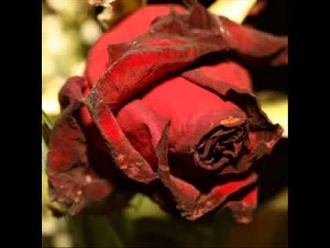 DJ Akman Mc serkan Crazy Ossie [Ana Seni Çok Özledim]