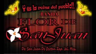 Banda Flor De San Juan  (( Mambo ni hablar )) en vivo