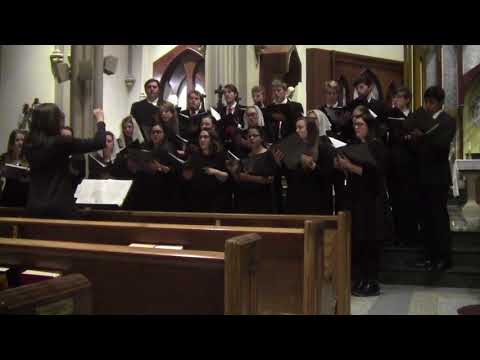 Northeast Catholic College Polyphony Tour 2017 - Ave Maria