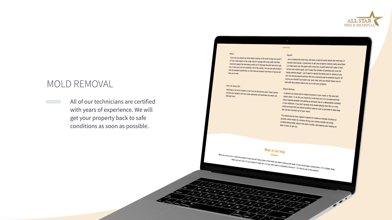 All Star Mold Removal