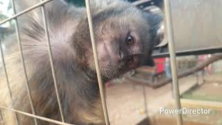 Lilly in action 🎬