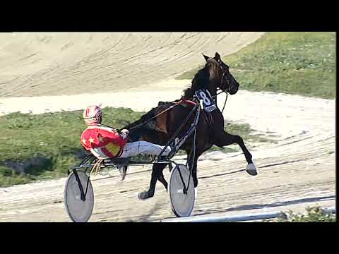 Napoli Trotto 26/03/2023 - 7ª corsa