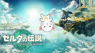 ゼルダの伝説ティアーズオブザキングダム情報を噛みしめる