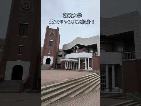 社会福祉学科 埼玉キャンパス紹介 #淑徳大学 #shorts