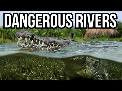 Ranking 9 Of The Most Dangerous Rivers In The World Based On Their Wildlife