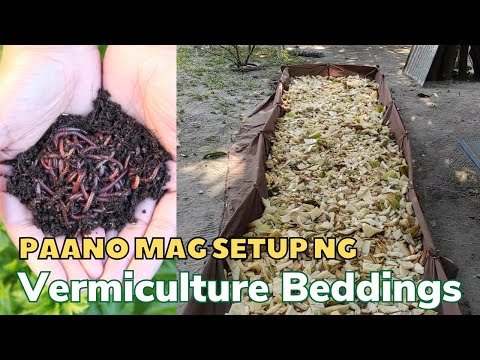 Paano Gumawa ng Vermiculture Beddings | Vermicomposting,  Vermiculture