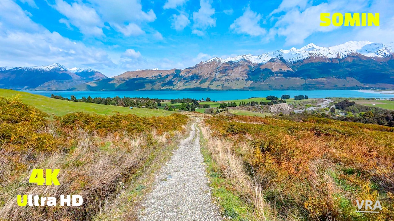 Virtual Run 4k - 50 Minute Treadmill Workout Scenery Judah Track Downhill - New Zealand