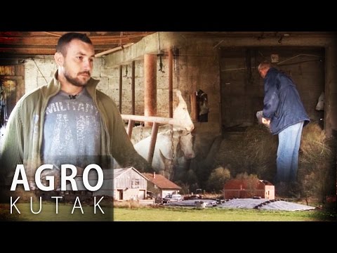 Agro Kutak 54 - Jedna njiva u dva entiteta - 08.11.2016.