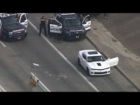 Lil Dripo - Police Ft Mtaps [official video]