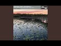 Part 11, Lily Pad Lament