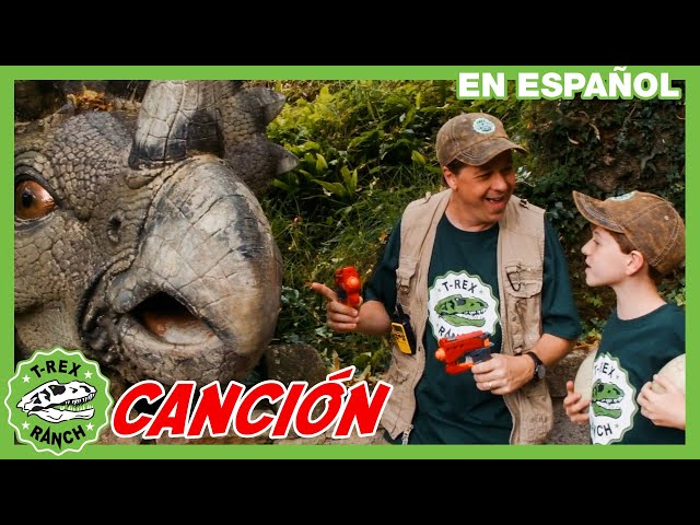 Vídeo relacionado con Nifeliz Fósiles de Dinosaurio T. Rex Decoracion Kit de Construcción, Dinosaurio de Construcción para Hombres y Mujeres, Regalo Coleccionable para Amantes de Las Fósiles (826 Piezas, NF10343)