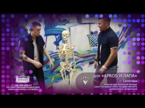 Apros & Лапа — «Универвидение-2015»