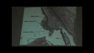 Dr Gihan Data show Revision 1 (Ear,Eye,FGS)