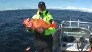 preview picture of video 'Rotbarschangeln in Steigen mit Guided-Fishing Tours'