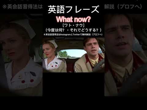 1日1フレーズ：What now? #英会話 #英会話フレーズ #英語リスニング #英語勉強 #英語発音 #英語力 #英語 #英語学習 #shorts