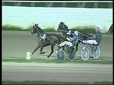 Trotto 29/11/2015 - 5° corsa