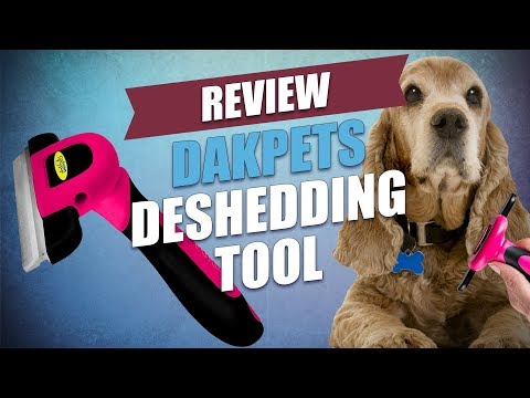 download lagu mp3 mp4 Dakpets Grooming Brush, download lagu Dakpets Grooming Brush gratis, unduh video klip Dakpets Grooming Brush