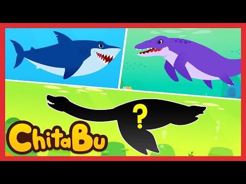 Auf in die Welt der Meeresgiganten! 🌊🦈 | Beliebte Kinderlieder | #Chitabu