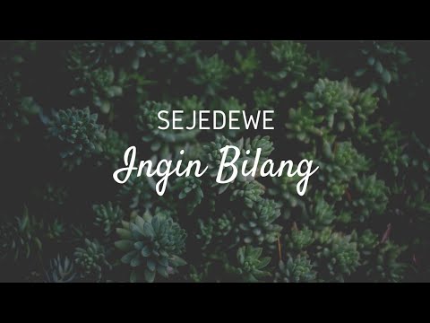 SEJEDEWE - INGIN BILANG  (OFFICIAL VIDEO LYRICS) NEW VERSION
