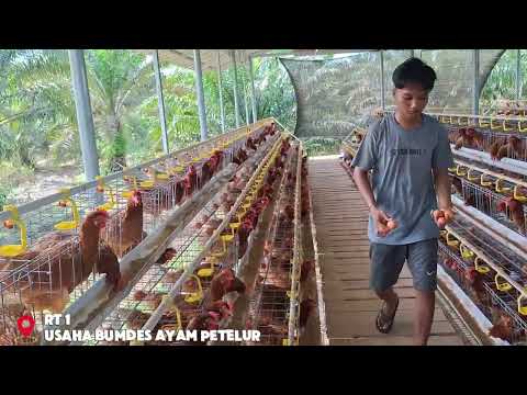 Profil Desa Sungai Riam