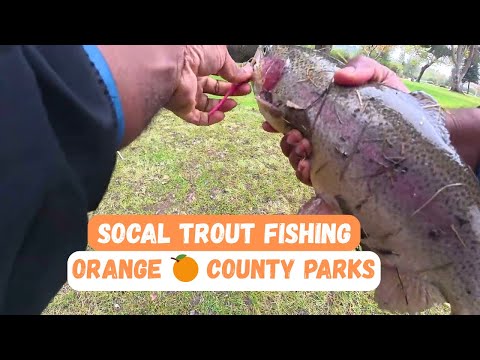 SoCal Trout Fishing (Carbon Canyon Regional Park)