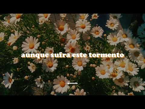 Los Terrícolas — Te Juro Que Te Amo [Letra]
