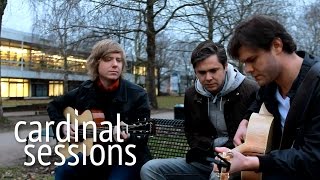 Sons of Bill - Lost In The Cosmos (Song For Chris Bell) - CARDINAL SESSIONS