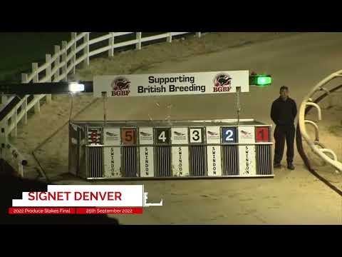 BGBF Signet Denver - The Seventy Sixth Two Year Old Produce Stakes Final 2022