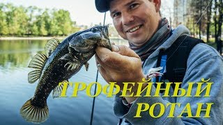 Ловля ротана в подмосковье летом