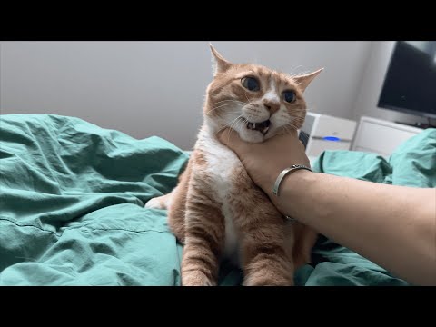 이사해도 아리는 똑같다.