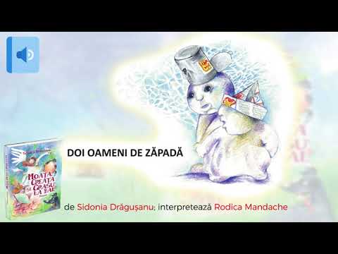 Doi oameni de zăpadă - de Sidonia Dragusanu - poveste audio
