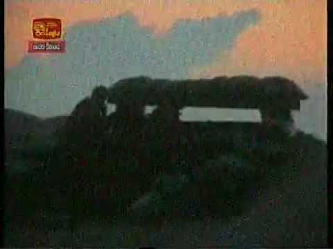 Wanni Operation 25 Sea Tiger Boats Thwarted By Sri Lanka Army