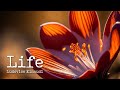 Ludovico Einaudi (In a Time Lapse ) — “Life” [Extended] (45 min.)