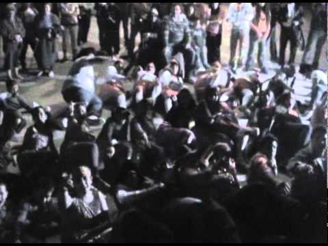 Gamba Altamiros 2010