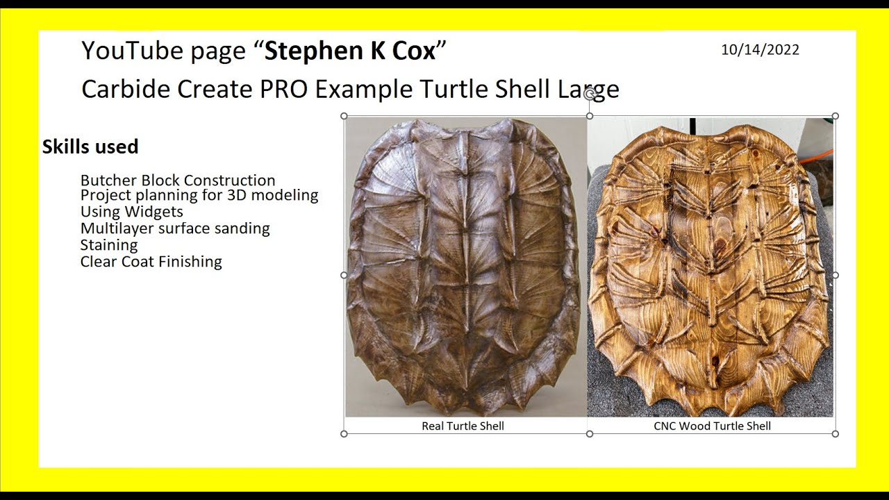 Alligator Snapping Turtle Shell