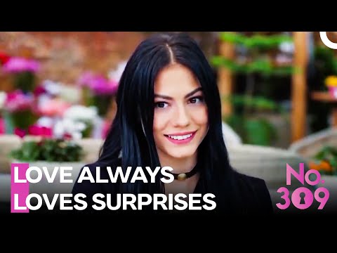 A Day Full of Surprises For Lale - No. 309