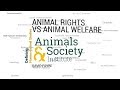 Defining Animal Rights Vs Animal Welfare With David Favre ASI S Defining Human Animal Studies 05