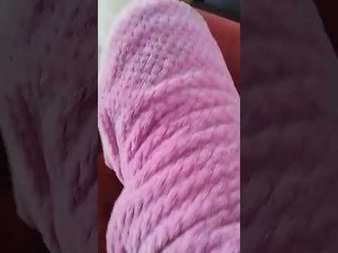 Las Aventuras de Paquita  #paquita #perritos #shortperros #mascotas #perritosgraciosos